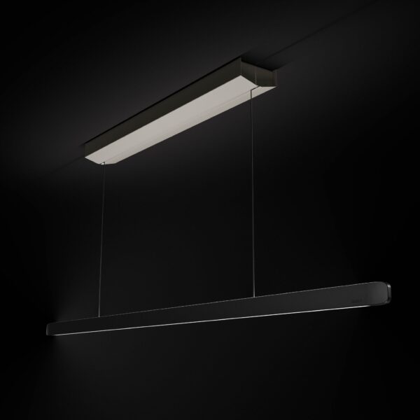 BORA Horizon LHMSW Move Pendant Light in Black - 2