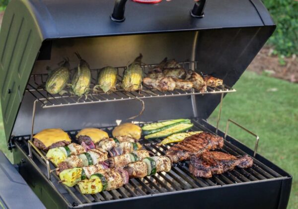 Char-Griller 2823 Wrangler Charcoal Grill